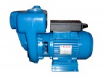 BOM CE Autoceb RotorPump MODELO HG H bombas indusell